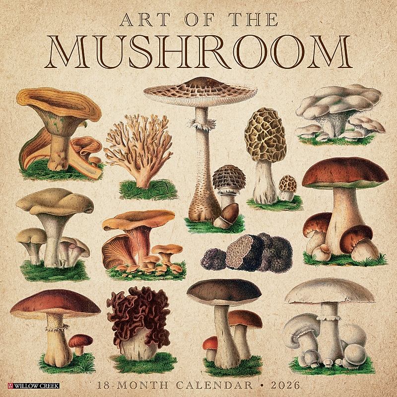 2026 Willow Creek Art of the Mushroom 12" x 12" Monthly Wall Calendar (49914) image 1