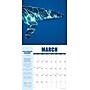 2026 Willow Creek Shark Year 12" x 12" Monthly Wall Calendar (52747)~#|#~896499F6-E444-42E5-98EED84278F840FD_sc7