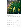 2026 BrownTrout Louisiana Wild & Scenic 12" x 12" Monthly Wall Calendar (9798330704408)~#|#~896CB83A-BB15-4413-99DFC50F2CA5805A_sc7