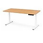 Uncaged Ergonomics Rise Up 60"W Electric Adjustable Bamboo Standing Desk, Natural/White (RUWB)~#|#~896F0F6D-A07E-493B-A1301F9058061E0B_sc7