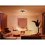 Philips Hue Infuse 1 LED Ceiling Lamp, Black (579847)~#|#~897CCA04-881D-4317-BEFFEEB357FAF16A_sc7