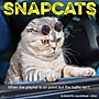 2026 Willow Creek Snapcats 12" x 12" Monthly Wall Calendar (52853)~#|#~897F89A7-0760-4D77-A28C507F6718A433_sc7