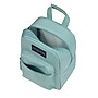 JanSport Big Break Insulated Lunch Bag, 2-Compartment, Faded Sage, 8 oz. (JS0A352LLA8)~#|#~898128DD-090B-4BC9-9067CCF4337C7F93_sc7