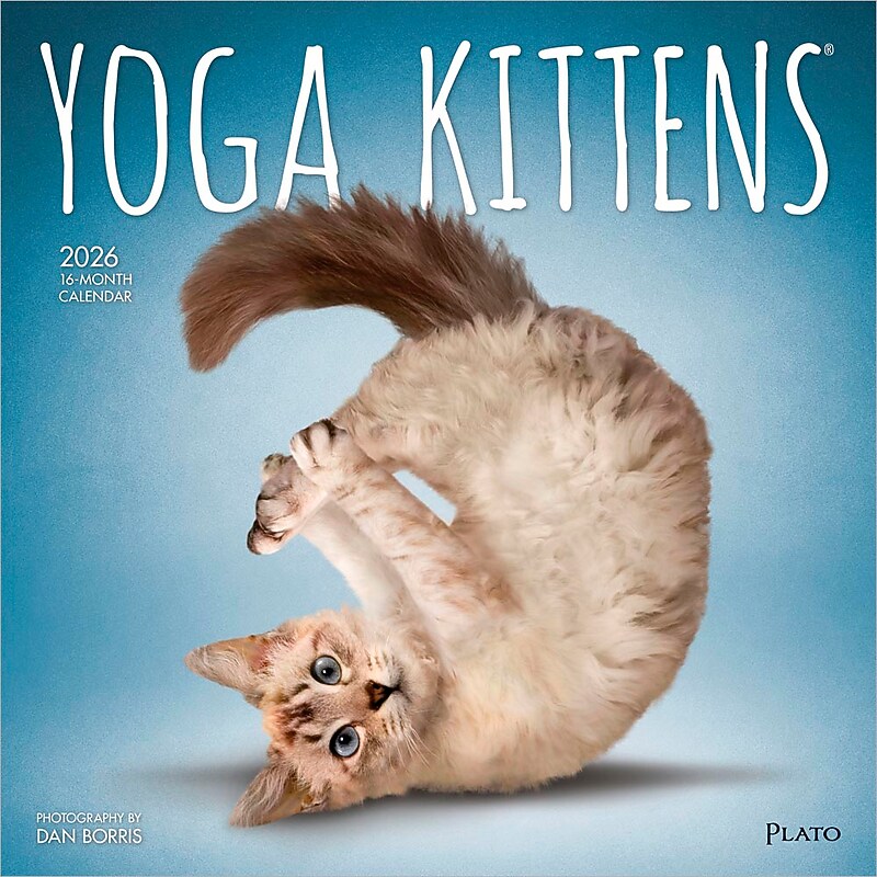 2026 Plato Yoga Kittens 12" x 12" Monthly Wall Calendar (9798330701964) image 1