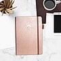 Clever Fox Accounting Journal, 8.3" x 5.8", Rose Gold (B0999NKHYJ)~#|#~8993CAED-F968-4D04-8E539472ADED6ECC_sc7