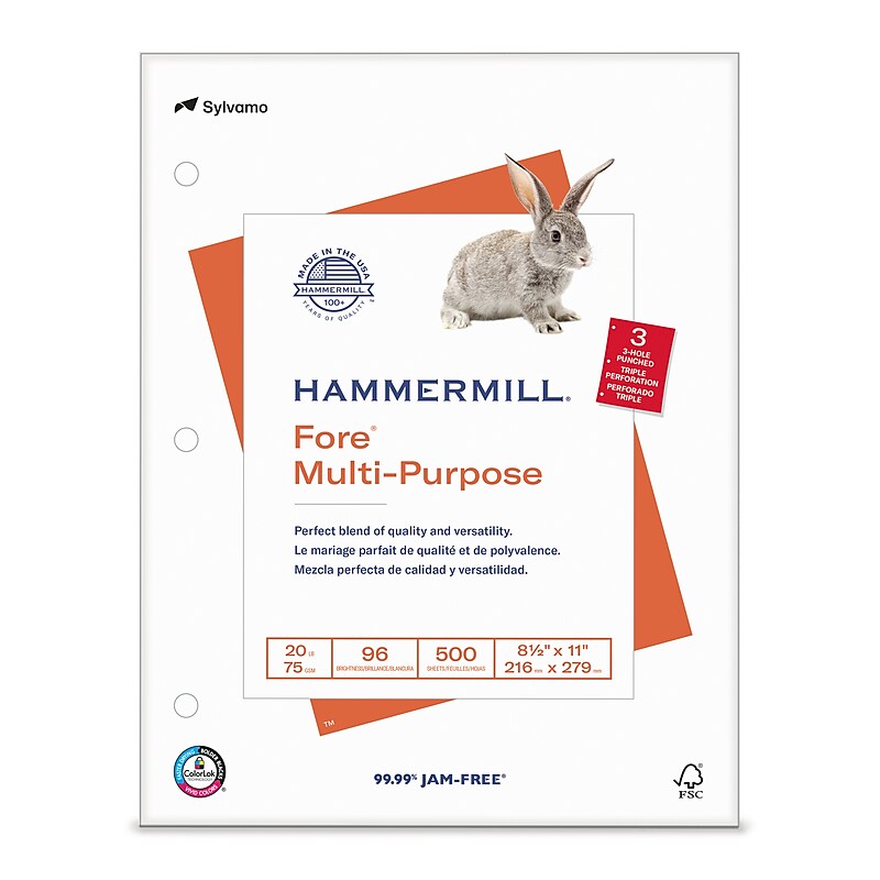 Hammermill Fore 8.5" x 11", 3-Hole Punched Multipurpose Paper, 20 lbs., 96 Brightness, 500 Sheets/Ream (103275) image 1