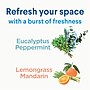 Clorox Disinfecting, Sanitizing and Antibacterial Spray Mist, Eucalyptus Peppermint, 16 Fluid oz. (60152)~#|#~899C2641-672D-4D55-B12628B59F106B12_sc7