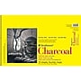 Strathmore 300 Series 11" x 17" Wire Bound Charcoal Sketch Pad, 32 Sheets/Pad, 2/Bundle (STTP330111-2)~#|#~89C85C09-0124-4B5E-BCE7A895991A56D3_sc7