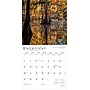 2026 BrownTrout Texas Nature 12" x 12" Monthly Wall Calendar (9798330705801)~#|#~89D76240-5EEA-4A1F-B0ABE630365920EE_sc7