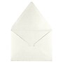 LUX A2 Contour Flap Envelopes, 250/Box, Quartz Metallic (1870-08-250)~#|#~89D92CC6-0891-4C8E-ABEC80140688E131_sc7