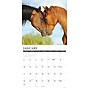 2027 Willow Creek 12" x 12" Monthly Wall Calendar, Assorted Colors (62920)~#|#~89E2CAC5-2A18-4222-ACFE049620E5940A_sc7