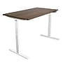 Mount-It! Ultimate Dual Motor 55"W Electric Rectangular Adjustable Standing Desk, Adrift/White (MI-18076)~#|#~89E54F86-D8EF-4107-A861E957C77134EB_sc7