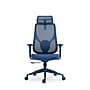 Raynor Group Torque Ergonomic Fabric/Mesh Swivel Manager Chair, Blue (TORQUE-BLU)~#|#~89F4FBD0-4C3E-46B4-B7FDE7444F48A004_sc7