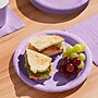 Creative Converting Touch of Color 9" Paper Plates, Luscious Lavender Purple, 240 Plates/Carton (47193B)~#|#~8A024CE8-E0B9-4B49-B3130D2E9038FB56_sc7