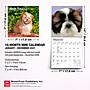 2027 BrownTrout Shih Tzu Puppies 7" x 7" Monthly Wall Calendar (9798330710089)~#|#~8A19B1E4-600D-4EE1-804F34997AC37328_sc7