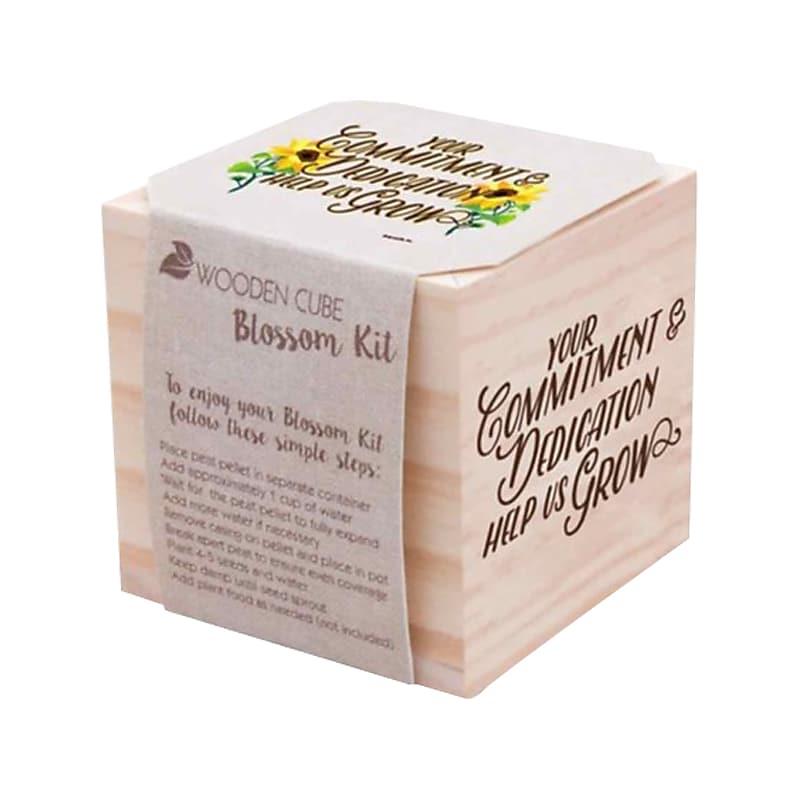 Baudville Your Commitment & Dedication Appreciation Plant Cube, Beige, 25/Pack (93883P25) image 1