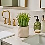 Lifelines Fir Needle & Pine Evaporative Aromatherapy Essential Oil Grass Plant Diffuser (11-1608)~#|#~8A1E614D-D640-48F8-A446FEFA502A8AB9_sc7