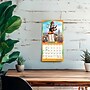 2027 BrownTrout Avanti Cranky Kitties 7" x 7" Monthly Wall Calendar, Assorted Colors (9798330712922)~#|#~8A2D563F-BEBB-4AFC-BE9C062DD4698F4F_sc7