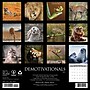 2027 Willow Creek Demotivationals  12" x 12" Monthly Wall Calendar (59999)~#|#~8A387F02-D508-495B-AA0ABD92EB4A3D35_sc7