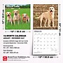 2027 BrownTrout Yellow Labrador Retrievers 12" x 12" Monthly Wall Calendar (9798330712571)~#|#~8A4673F2-282A-4637-B5D0846DB6D6483E_sc7