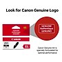 Canon 251XL Black High Yield Ink Cartridge   (6448B001)~#|#~8A51851A-74E0-4689-86293D503C4163E0_sc7