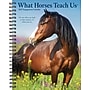 2027 Willow Creek What Horses Teach Us 6.5" x 8.5" Weekly & Monthly Desk Calendar (64474)~#|#~8A6A63F6-54B6-4BA8-9FD1BE0F2878484E_sc7