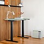Branch Duo 58"W Electric Adjustable Standing Desk, Sage/Charcoal (10-10-09-65)~#|#~8A732EB0-2E43-4FFB-A1A913BA8F498DBE_sc7