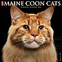 2026 Willow Creek Maine Coon Cats 12" x 12" Monthly Wall Calendar (51849)~#|#~8A7EE688-3B7F-4215-950B9401EF10B3E8_sc7