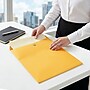 Staples 12 x 15.5 Clasp & Moistenable Glue Kraft Catalog Envelopes, Brown, Heavy‑Duty Mailing Envelopes for Documents, 100/Box~#|#~8A865EF6-B7F9-4F10-B722E95135C5C0C7_sc7