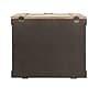Household Essentials Antiqued Decorative Trunk (HH9536-1)~#|#~8A9443CA-DCCB-48E0-9023678DD5E62C1A_sc7