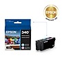 Epson 340 Claria Photo HD Light Cyan/Light Magenta Standard Capacity Cartridge, 2/Pack (T340922-S)~#|#~8AA2CE12-620F-49CD-BDE9F775A1CB97C4_sc7