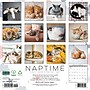 2027 Willow Creek Naptime: A Cat's Favorite Pastime 12" x 12" Monthly Wall Calendar (61404)~#|#~8ABA80FB-ABA7-4848-B6E1E8A25EC21571_sc7