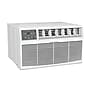 Durastar 115-Volt 8000 BTU 8000 (BTU DOE) Wall Air Conditioner with Remote, White (DRTHC081XNA1)~#|#~8AC39ED6-6385-4D43-9A622EED1C929A06_sc7
