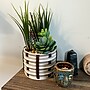 Lifelines FlowCrafts: Cord-Wrapped Planters (167005)~#|#~8AF15F27-680B-4738-882CD9965779FC63_sc7