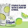 Ninja Thirsti Sugar-Free SPLASH Variety Pack Drink Mix Drops, 2.07 oz., 3/Pack (WCFV1)~#|#~8AF84990-FB9F-473D-92D3BA25C5F48638_sc7