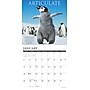 2026 Willow Creek Motivationals 12" x 12" Monthly Wall Calendar (52037X)~#|#~8B01FFFC-CCA6-47AA-BCDD46511F5FEAC9_sc7