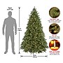 National Tree Company Jersey Fraser Fir Artificial Christmas Tree (PEJF1-300-65)~#|#~8B169914-1616-4188-A4FC7A0083CE6194_sc7