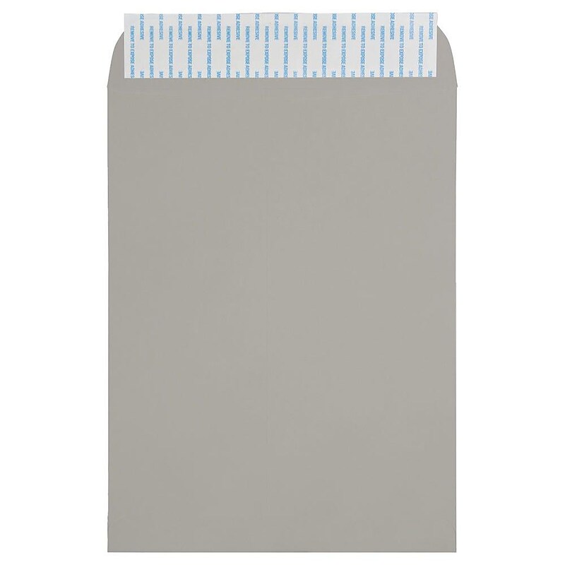 JAM Paper Self Seal Catalog Envelope, 9" x 12", 500/Box (12931115) image 1