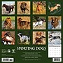 2026 Willow Creek Sporting Dogs 12" x 12" Monthly Wall Calendar (55557)~#|#~8B1E1B8E-66A6-499D-82DDDA462AAE1E5A_sc7