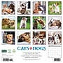 2027 Willow Creek Cats & Dogs 12" x 12" Monthly Wall Calendar, Assorted Colors (59579)~#|#~8B1E317B-EB5D-4CFB-ACB127CC917AD988_sc7