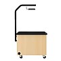 Diversified Woodcrafts Hydroponics Growing Center Table, Maple/Black (HGCMB)~#|#~8B1F4DDB-C017-4A0E-B5BD04518E9A81C4_sc7