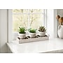 Monarch Specialties Inc. 6" Artificial Succulent Plants, 3/Set (I 9373)~#|#~8B251559-EFDB-4C56-812D7EEEB36C8EFB_sc7