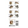 USPS Squirrels & Chipmunks in Snow Forever 20 Postage Stamps (FOR-SQUIRREL-20)~#|#~8B270155-8FB5-41A5-9797F54764ED8BFA_sc7