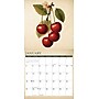 2026 Willow Creek Farmer's Market 12" x 12" Monthly Wall Calendar (51108)~#|#~8B41A37C-3626-4129-B28FC6F0C6BC1B89_sc7