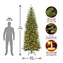 National Tree Company Dunhill Fir Artificial Christmas Tree (DUSLH1-90LO)~#|#~8B475B66-C991-4154-BCFF91395C6F0391_sc7