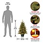 National Tree Company Everyday Collection Artificial Christmas Trees ED3-307-30~#|#~8B548688-D0E7-4693-A088D6019CCDBC4D_sc7