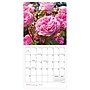 2027 TF Publishing Flowers 7" x 7" Monthly Wall Calendar, Multicolored (27-2014)~#|#~8B870871-40D5-43B5-844A2C044515AB52_sc7