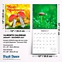 2027 BrownTrout Magic Mushrooms 12" x 12" Monthly Wall Calendar (9798330714025)~#|#~8B91BC8A-9D63-478F-A44CDBD9F4C8C7FB_sc7