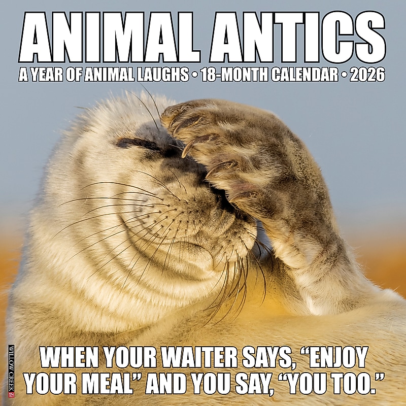 2026 Willow Creek Animal Antics 12" x 12" Monthly Wall Calendar (57735X) image 1