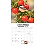 2026 BrownTrout Feathered Friends 12" x 12" Monthly Wall Calendar (9781773728780)~#|#~8B994BBC-E791-4982-881F1AE609C7353A_sc7